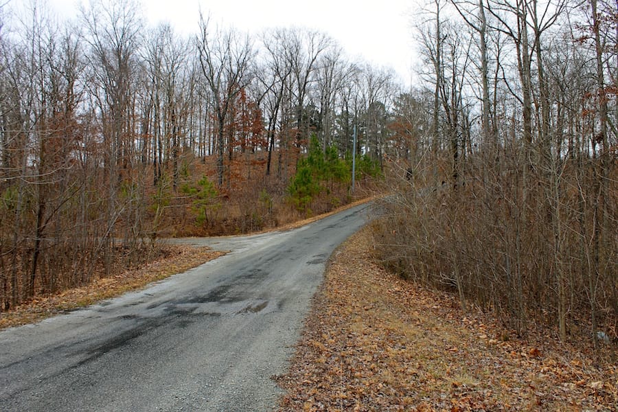 The Tennessean Tract 16 photo 1