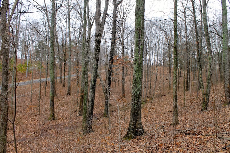 The Tennessean Tract 16 photo 3