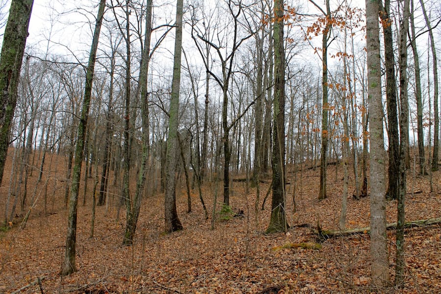 The Tennessean Tract 16 photo 4