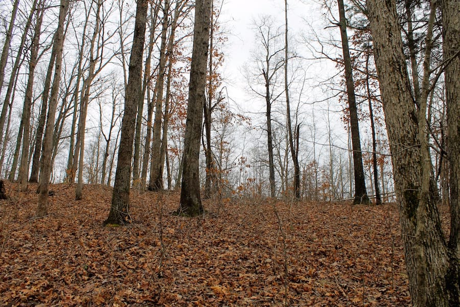 The Tennessean Tract 16 photo 6