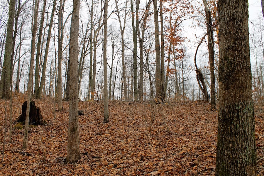 The Tennessean Tract 16 photo 8