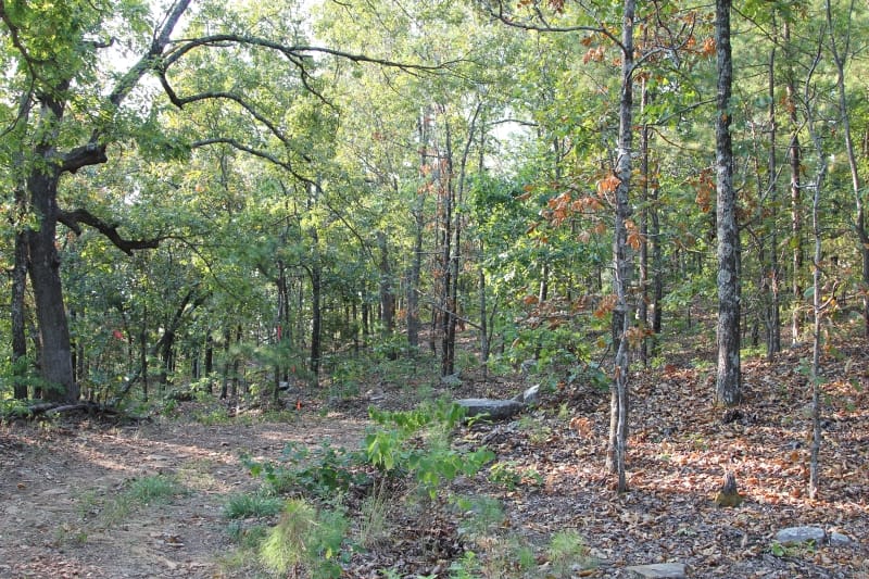 Lake View Ranch Tract 40 photo 1
