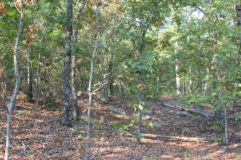 Lake View Ranch Tract 40 photo 2
