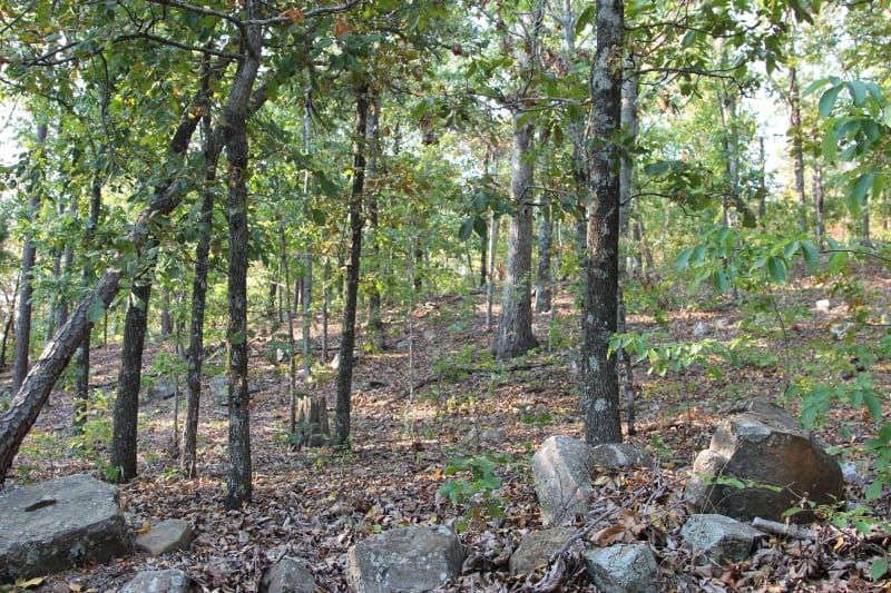 Lake View Ranch Tract 40 photo 6