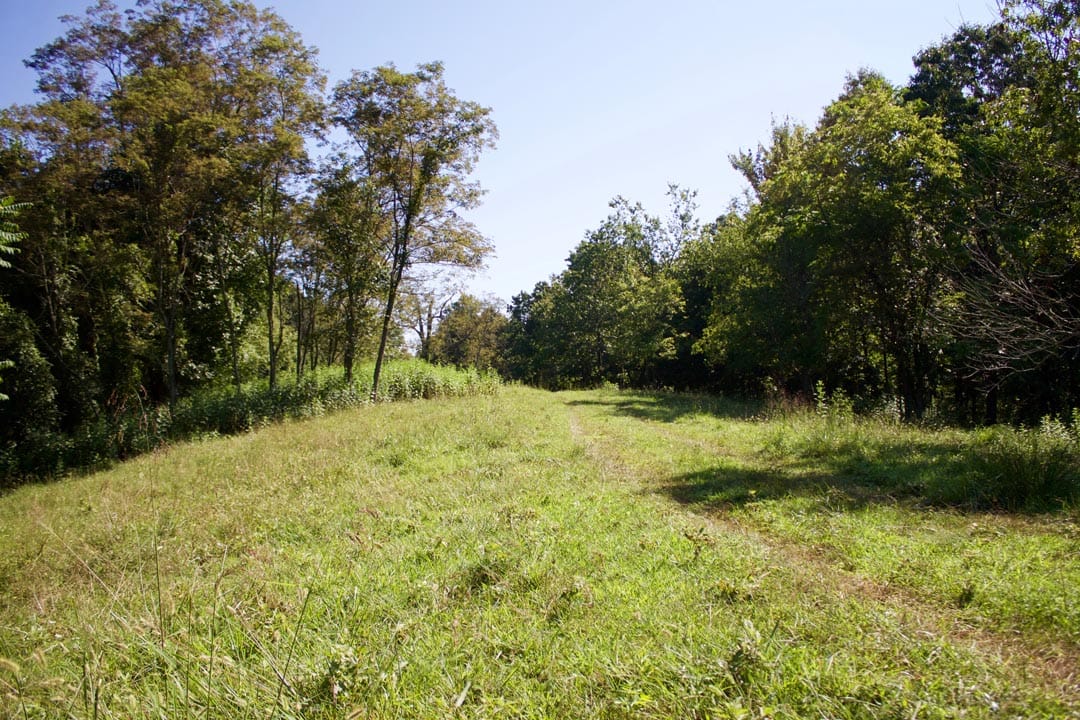 Heritage Hollow Tract 12 photo 2