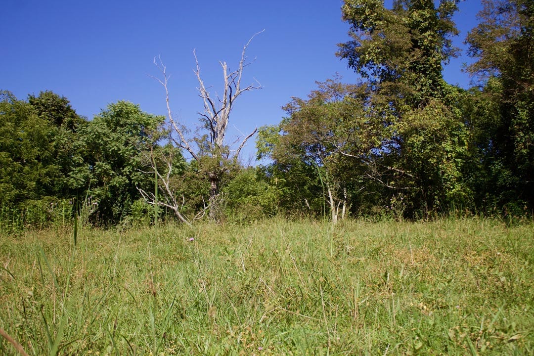 Heritage Hollow Tract 12 photo 13