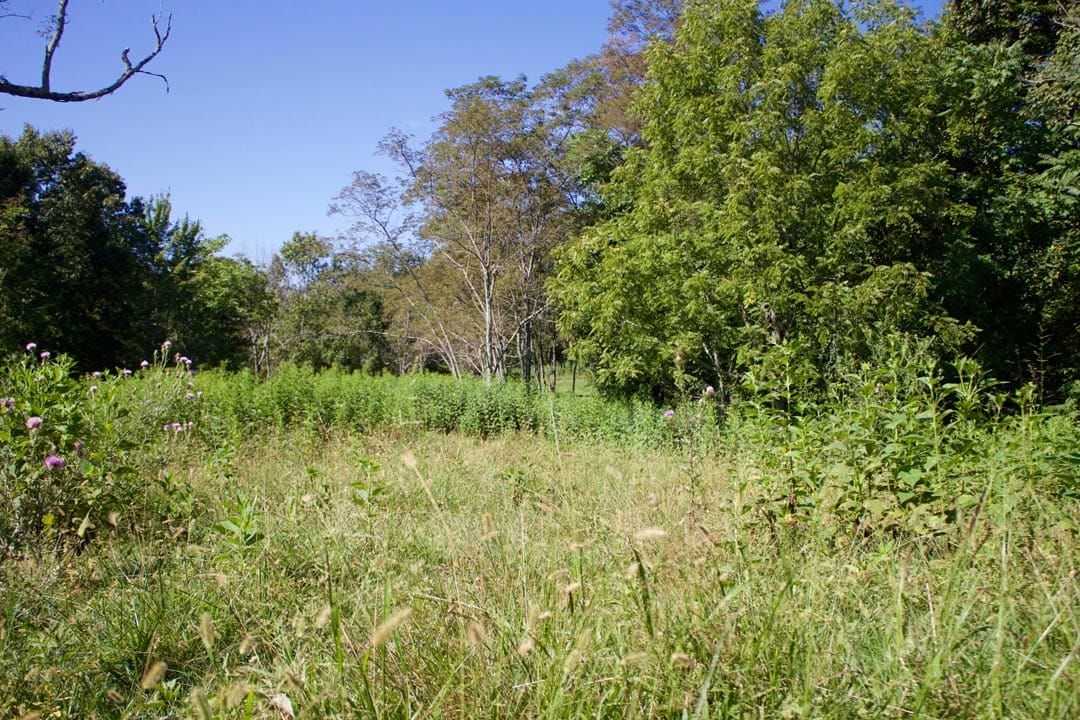 Heritage Hollow Tract 12 photo 14