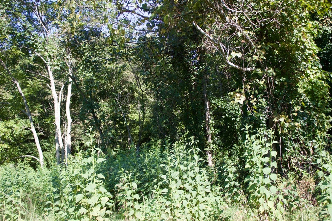 Heritage Hollow Tract 12 photo 15