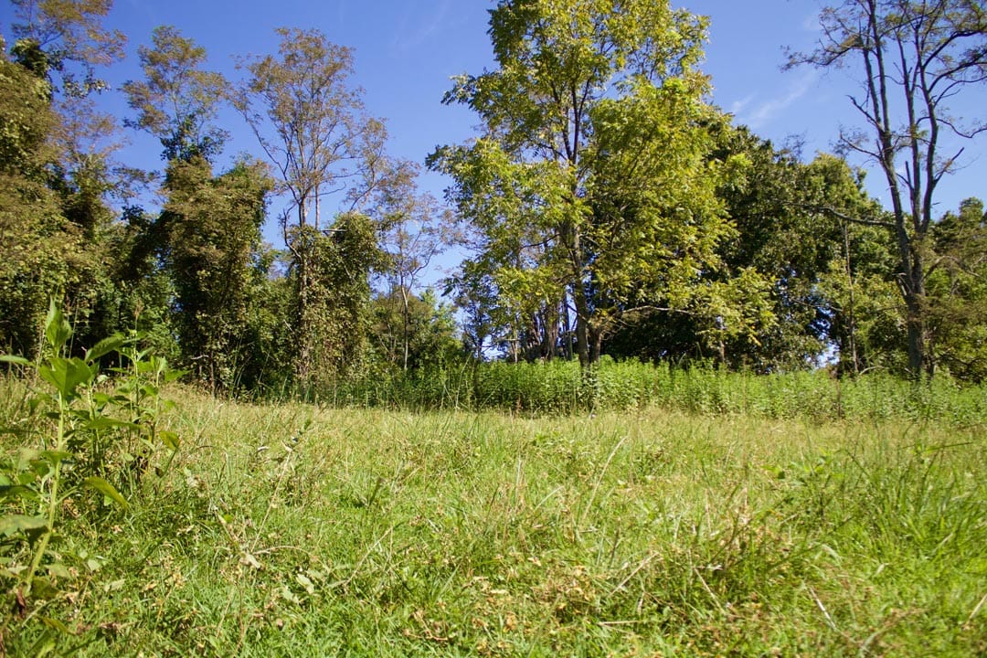 Heritage Hollow Tract 12 photo 17