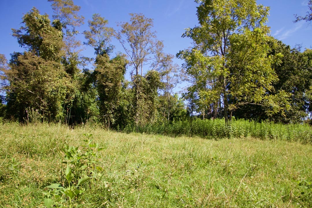 Heritage Hollow Tract 12 photo 18