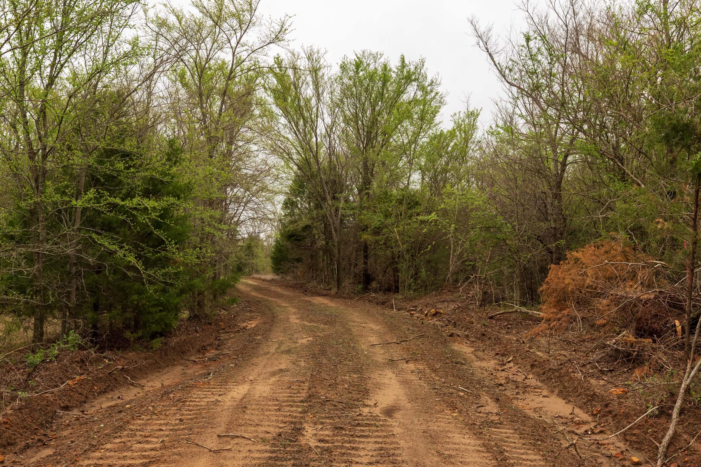 Moonrise Meadows Tract 8 photo 7