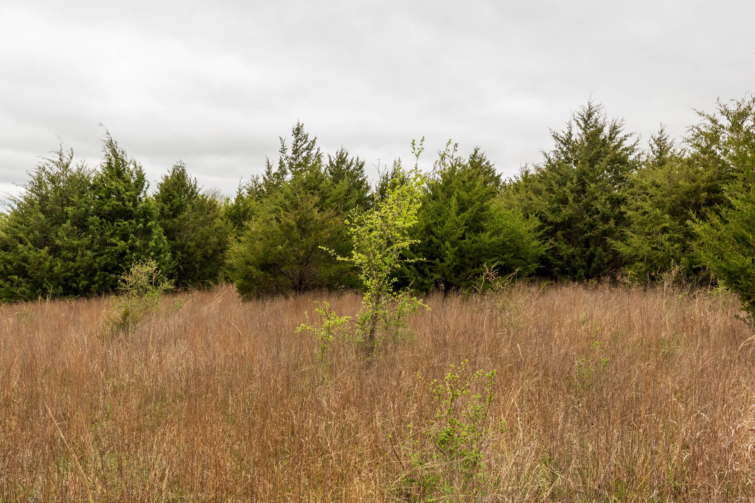 Moonrise Meadows Tract 8 photo 10