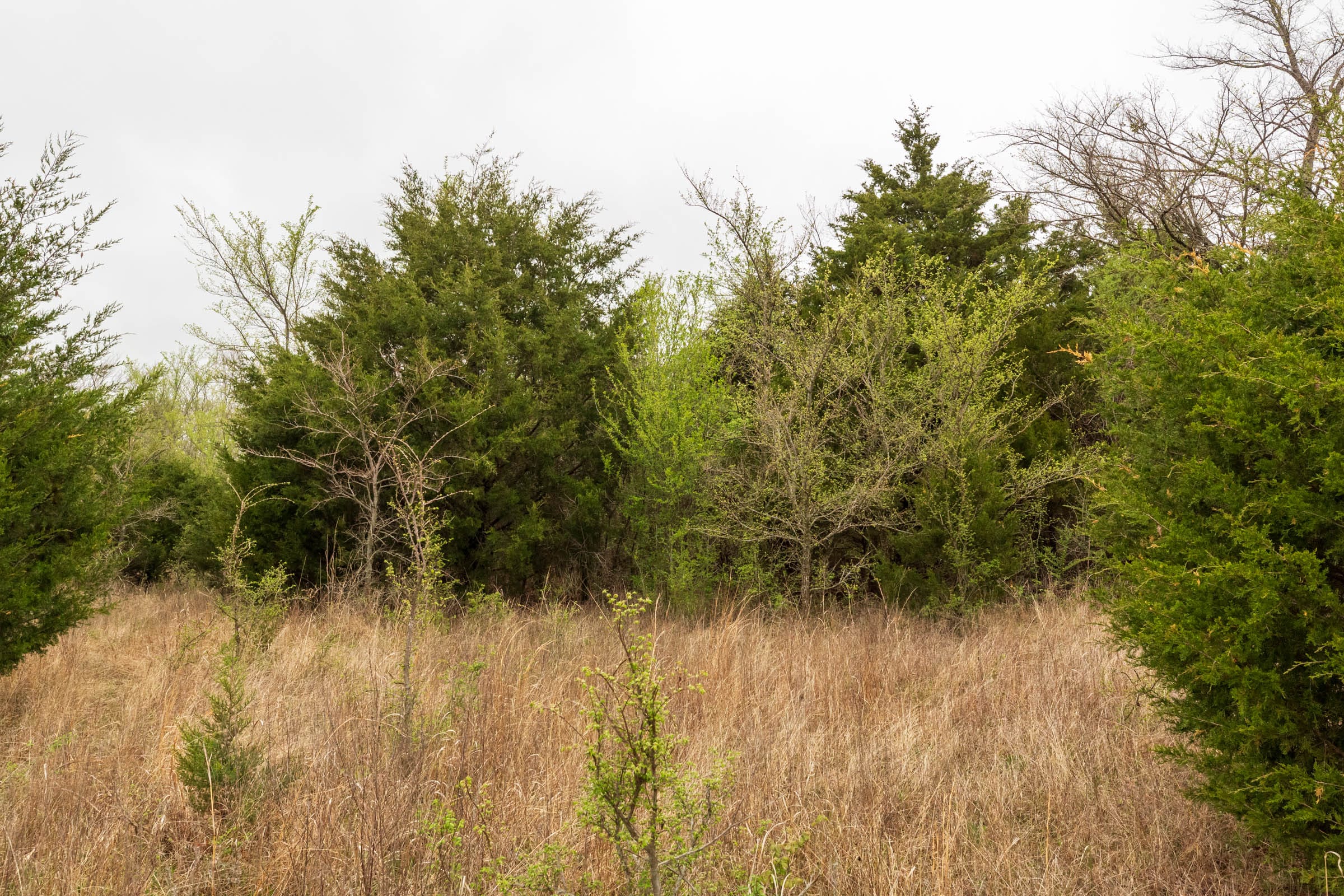 Moonrise Meadows Tract 8 photo 5