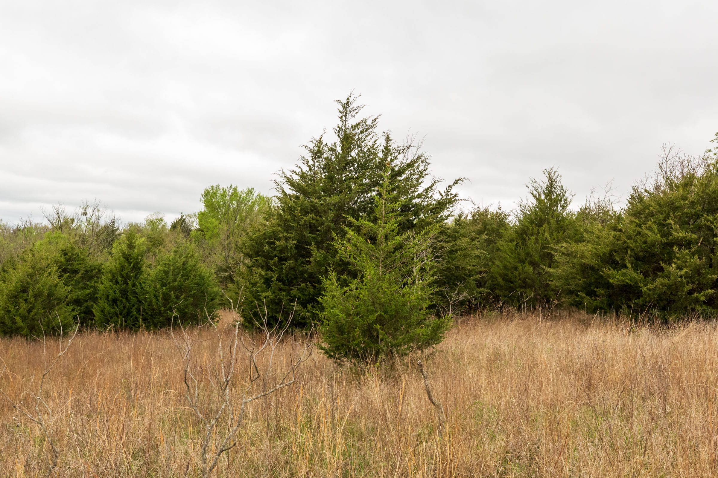 Moonrise Meadows Tract 8 photo 14