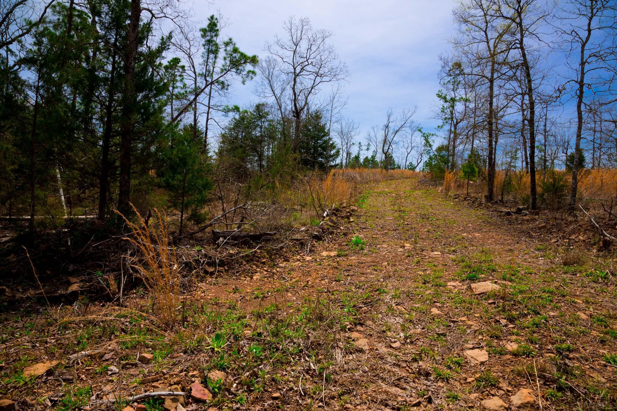 Stone Creek Phase II Tract 208 photo 1