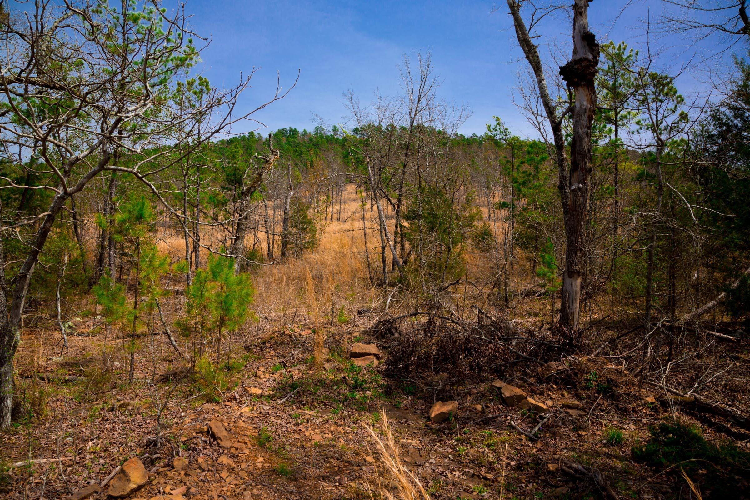 Stone Creek Phase II Tract 208 photo 7