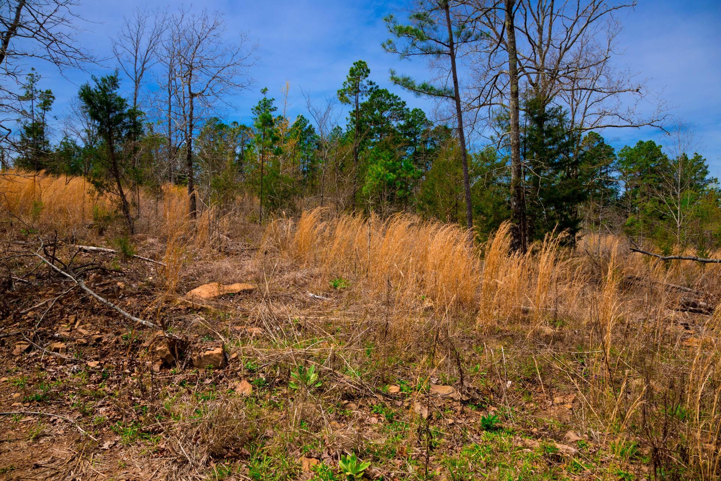 Stone Creek Phase II Tract 208 photo 8