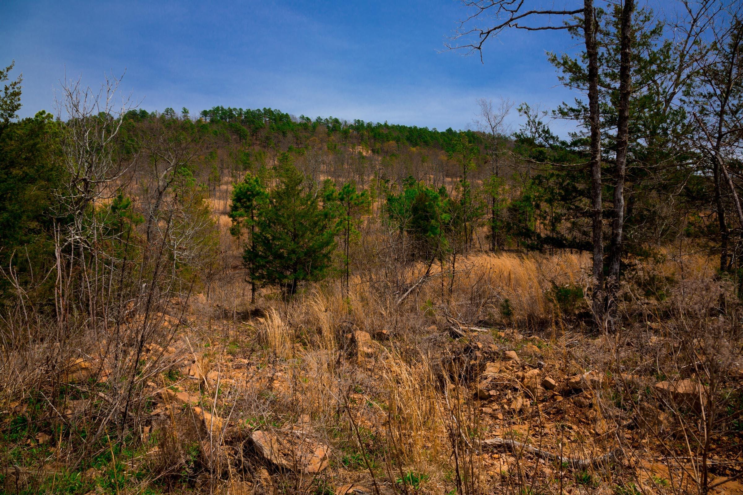 Stone Creek Phase II Tract 208 photo 9