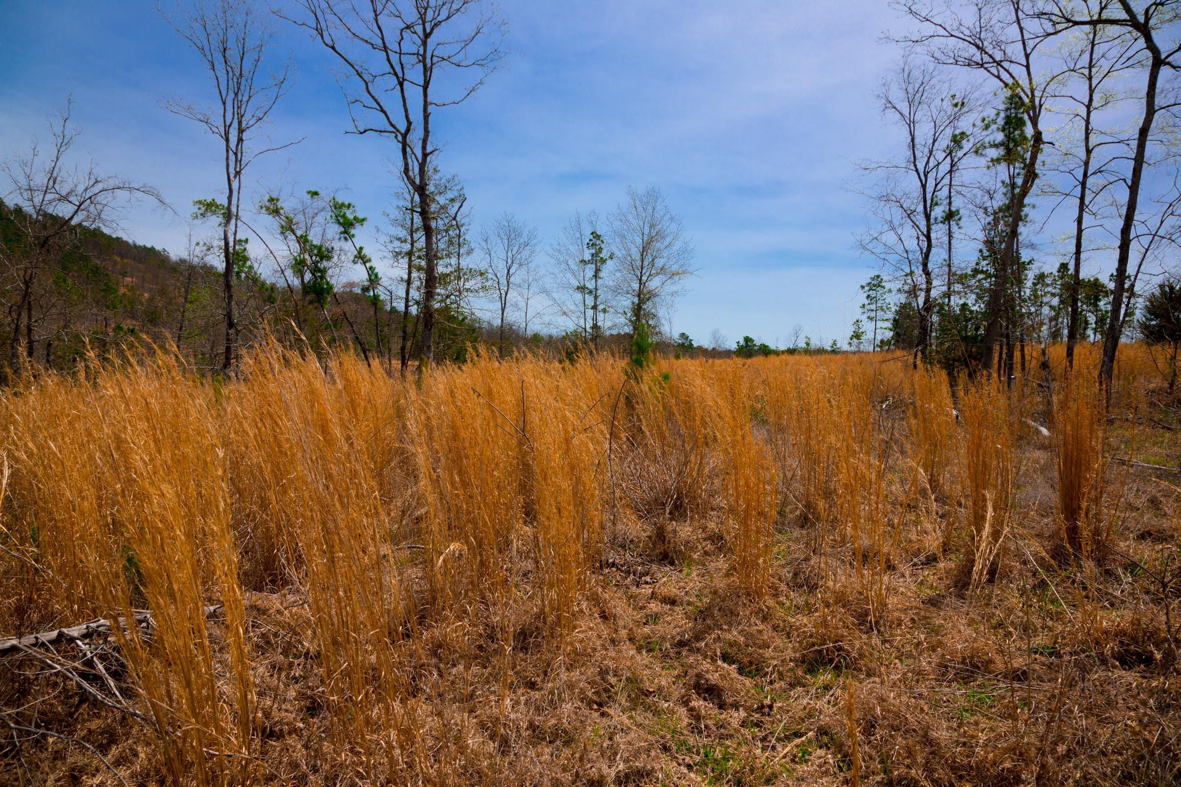 Stone Creek Phase II Tract 208 photo 10