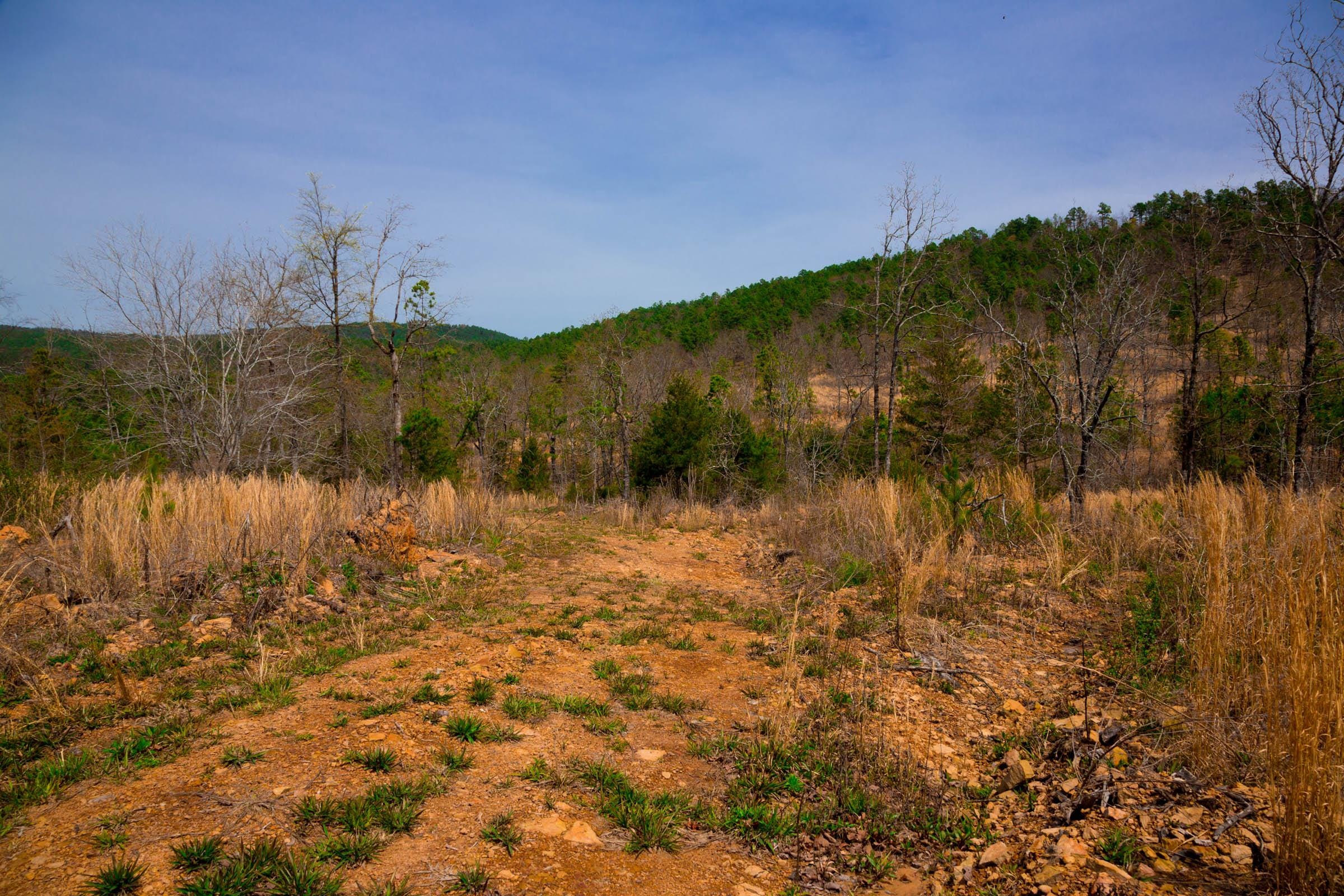 Stone Creek Phase II Tract 208 photo 11