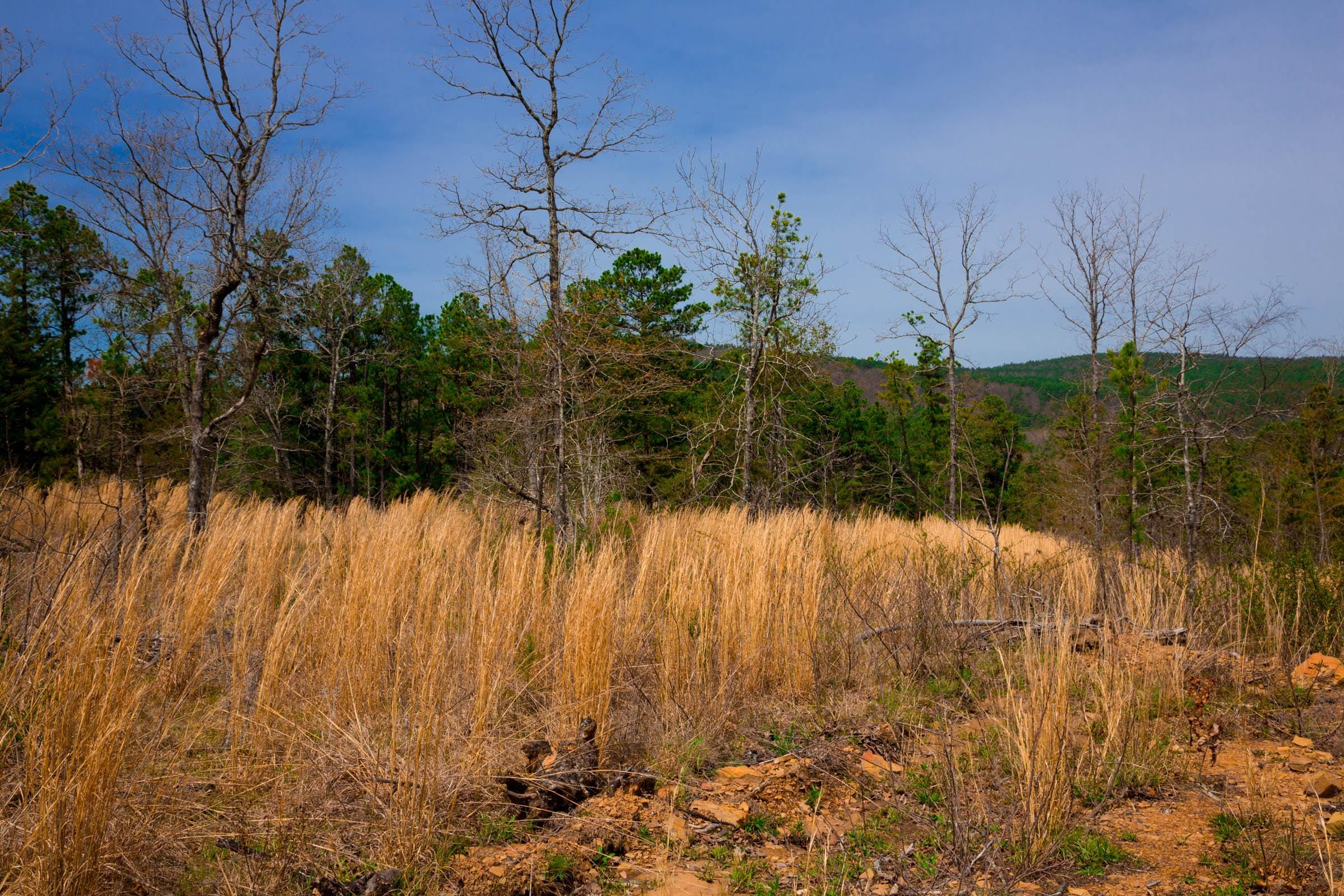Stone Creek Phase II Tract 208 photo 12