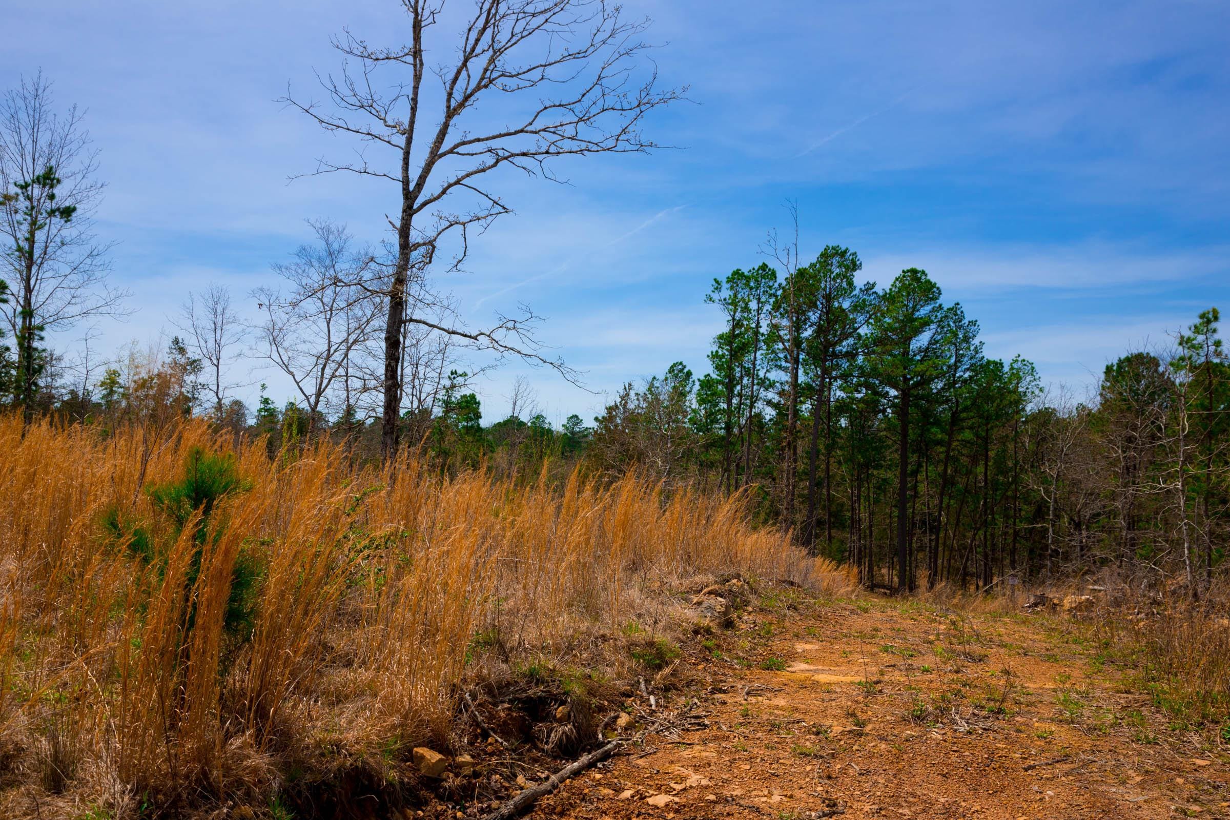 Stone Creek Phase II Tract 208 photo 13