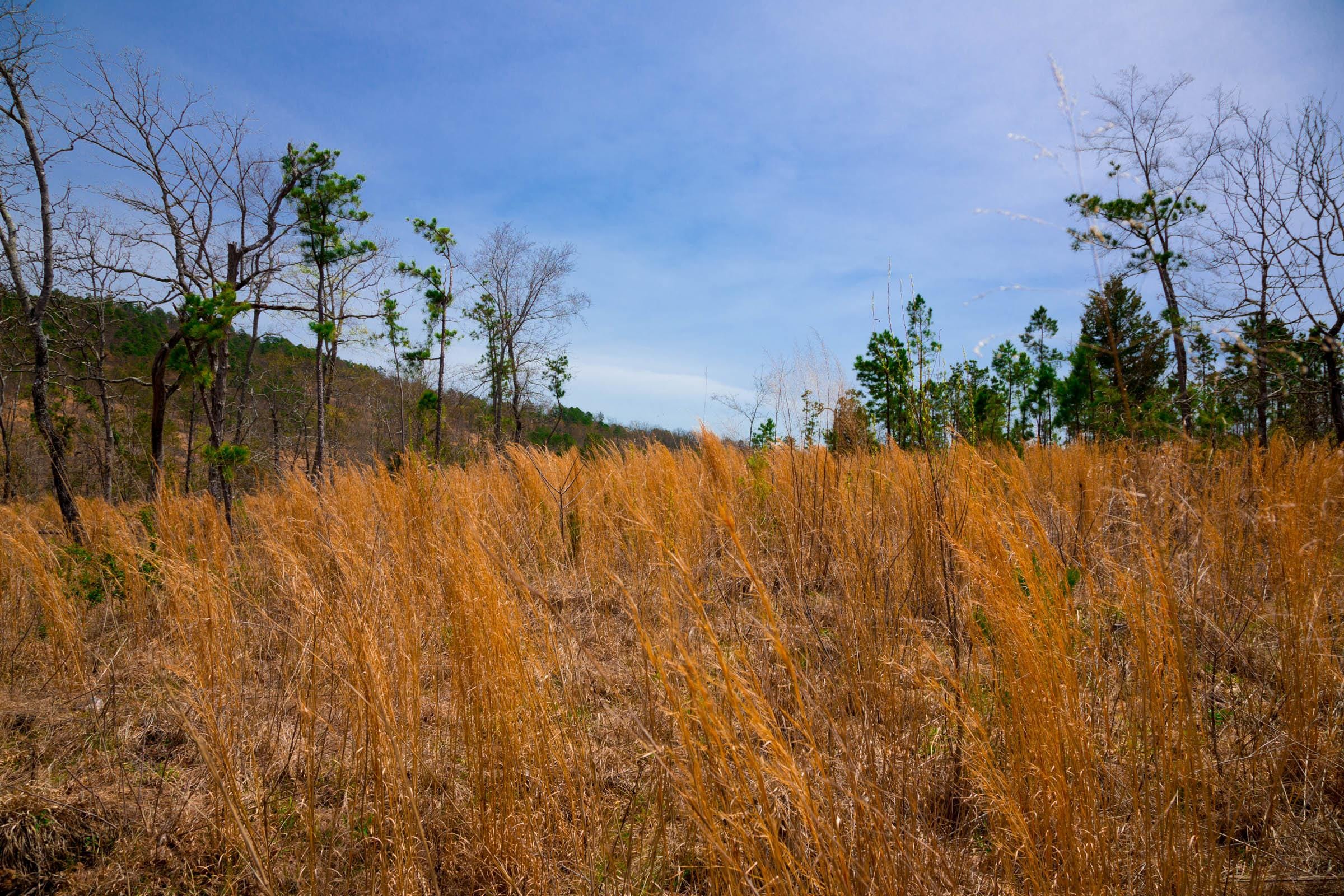 Stone Creek Phase II Tract 208 photo 14