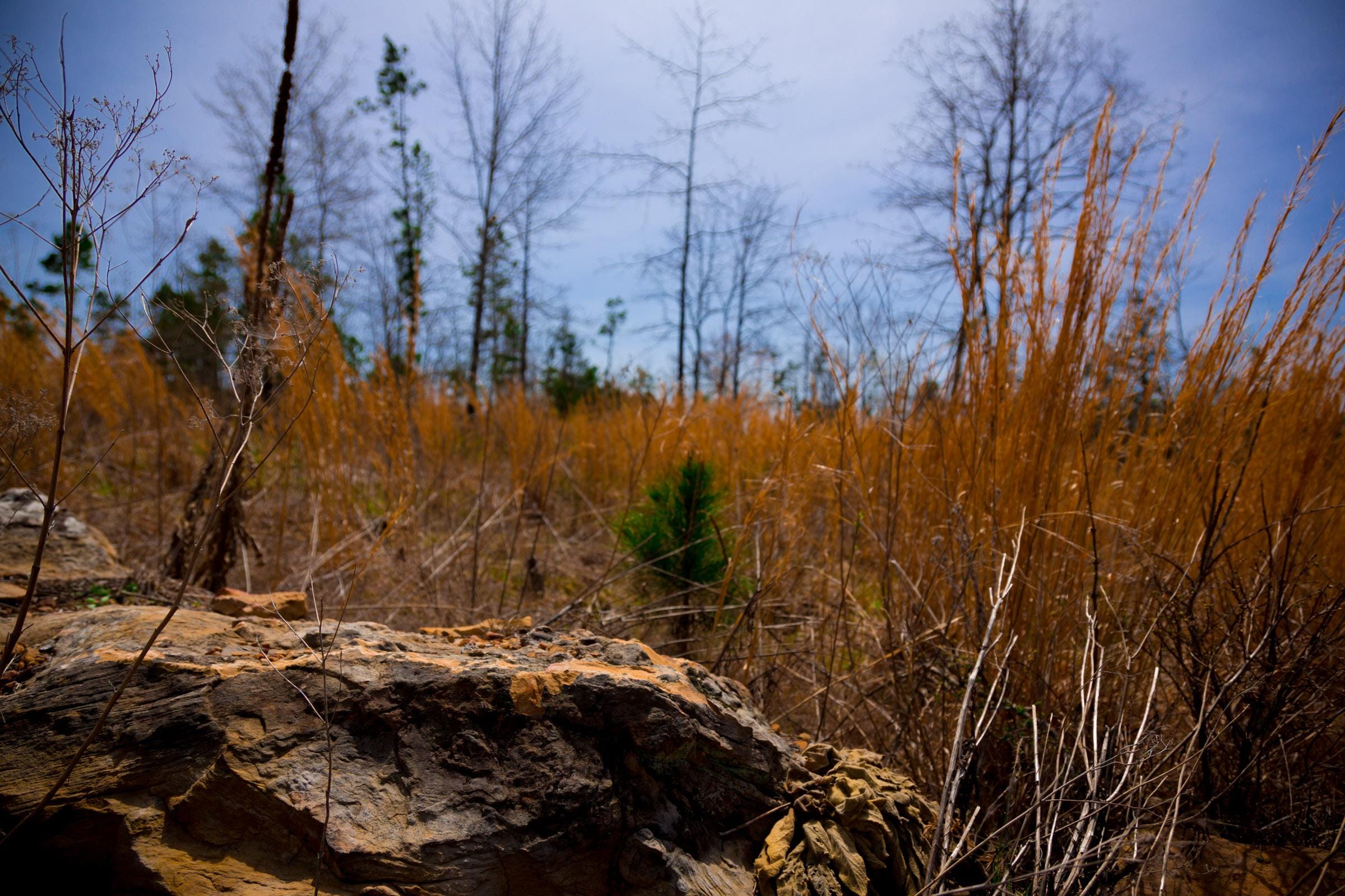 Stone Creek Phase II Tract 208 photo 16