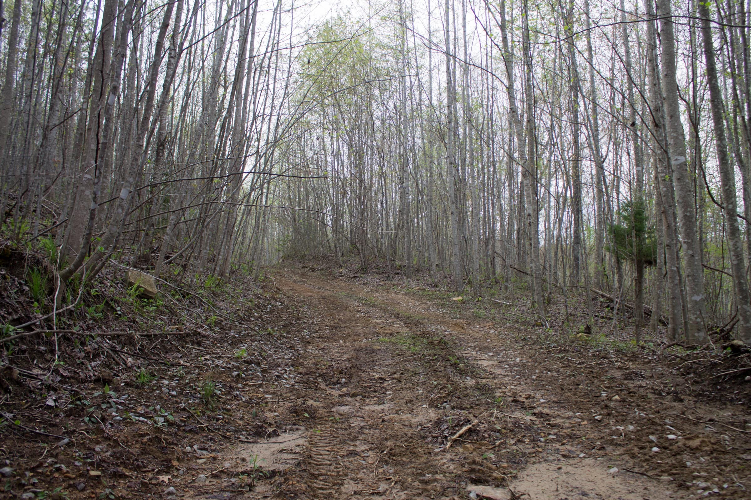 Hidden Hills Tract 49 photo 1