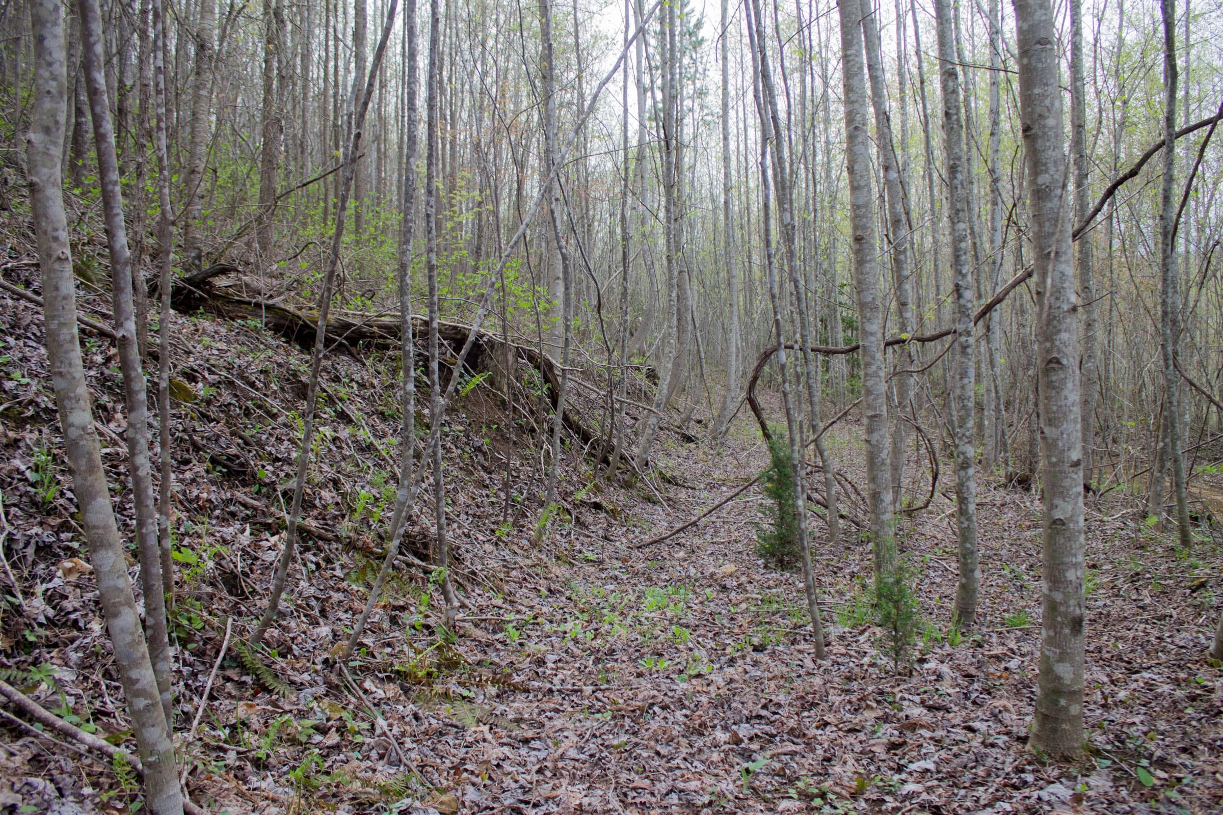 Hidden Hills Tract 49 photo 2