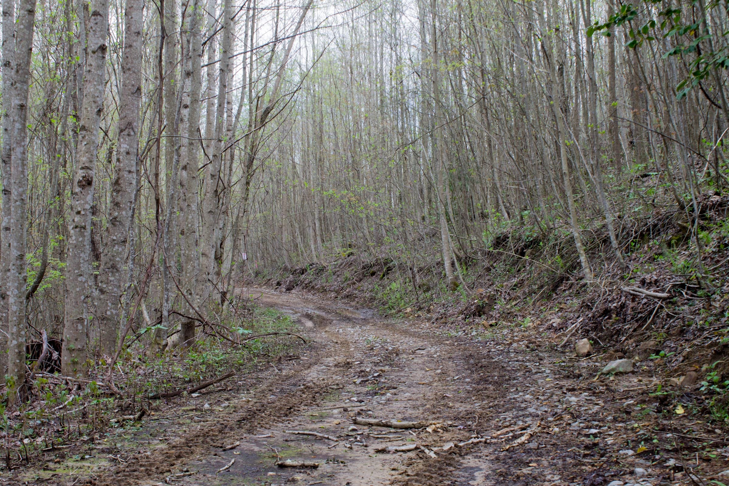 Hidden Hills Tract 49 photo 5