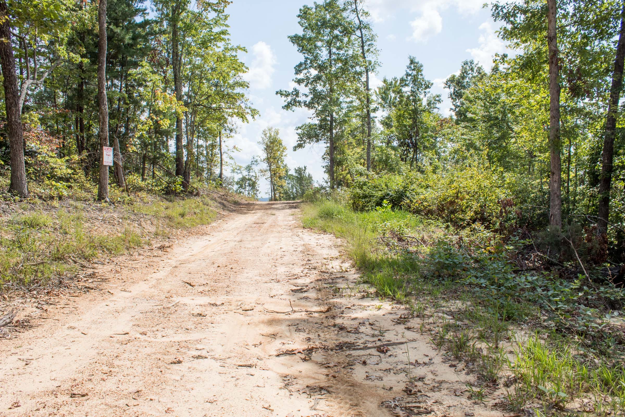 Buck Run Ridge Tract 26 photo 1