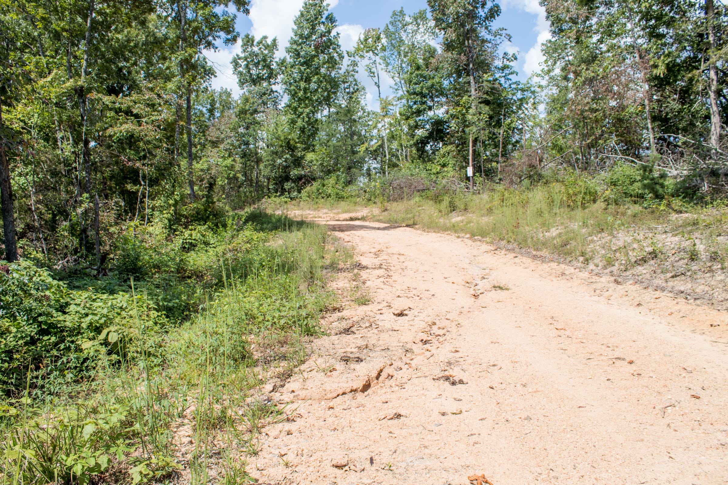 Buck Run Ridge Tract 26 photo 3