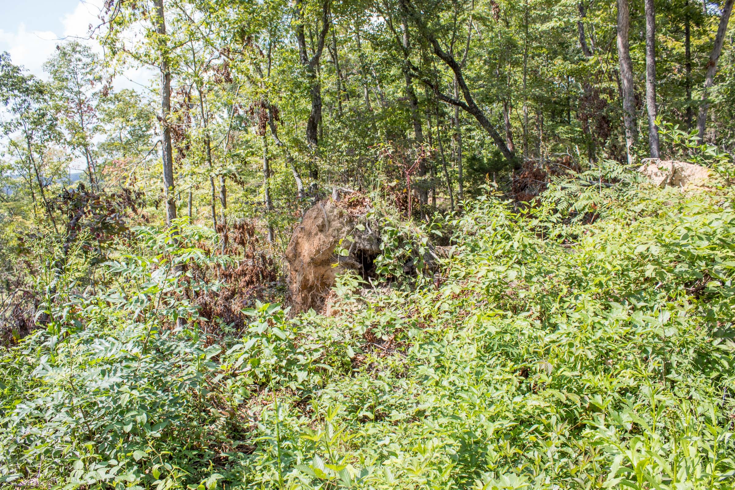 Buck Run Ridge Tract 26 photo 4