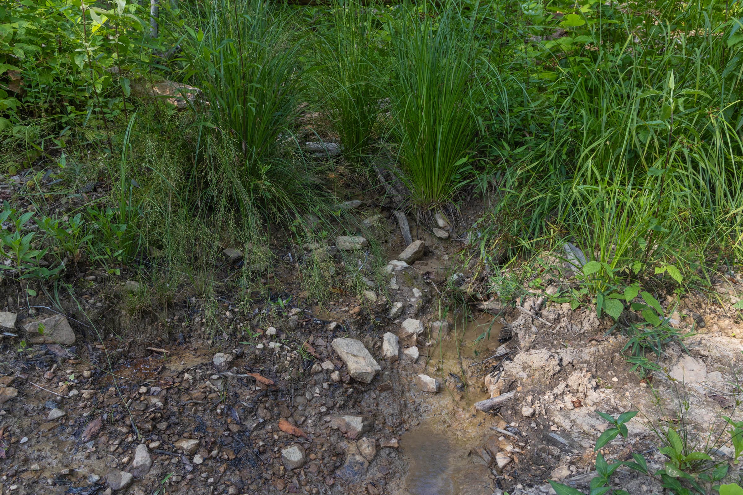 Creek Hollow Phase II Tract 81 photo 5