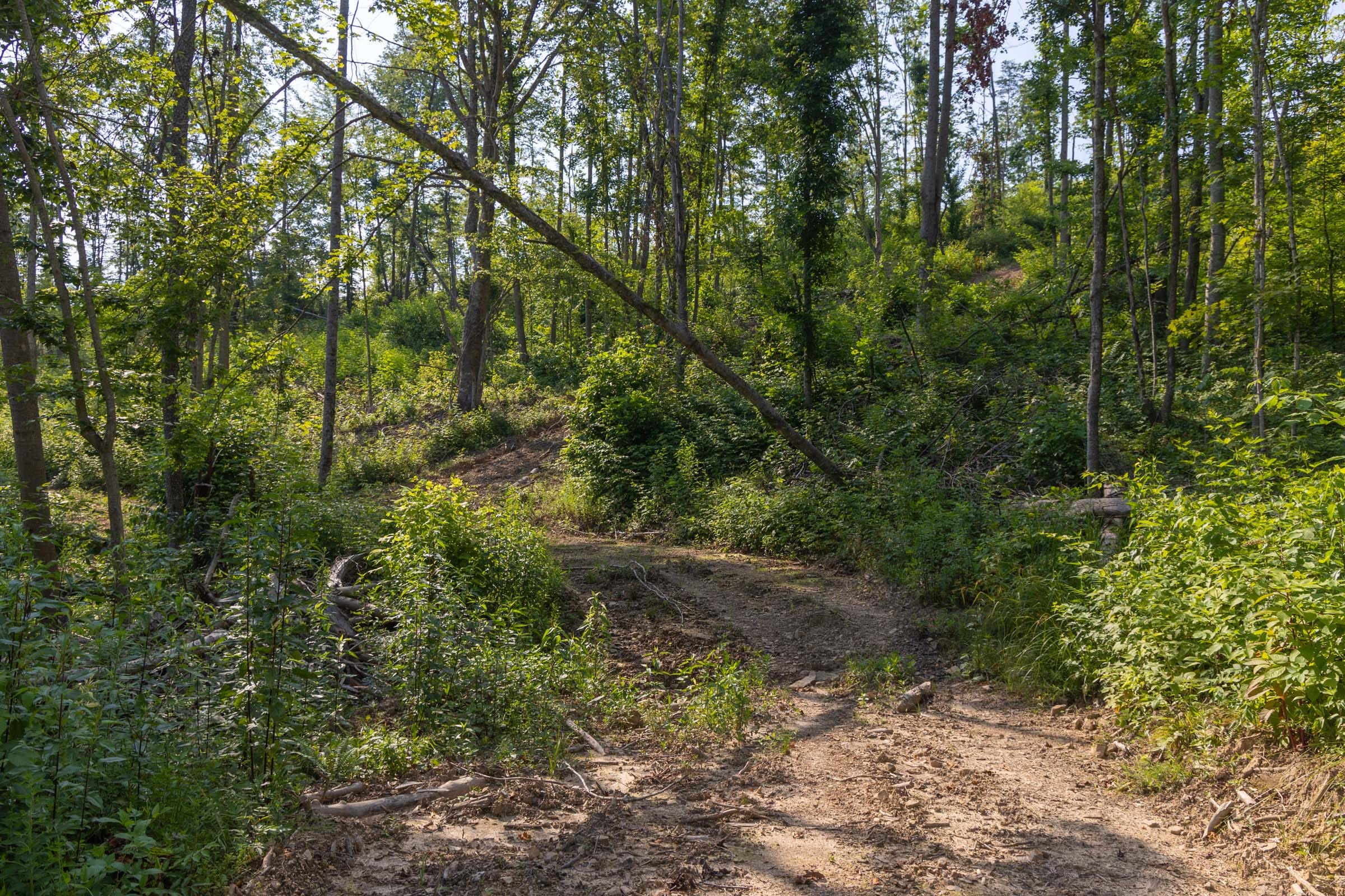 Creek Hollow Phase II Tract 81 photo 2