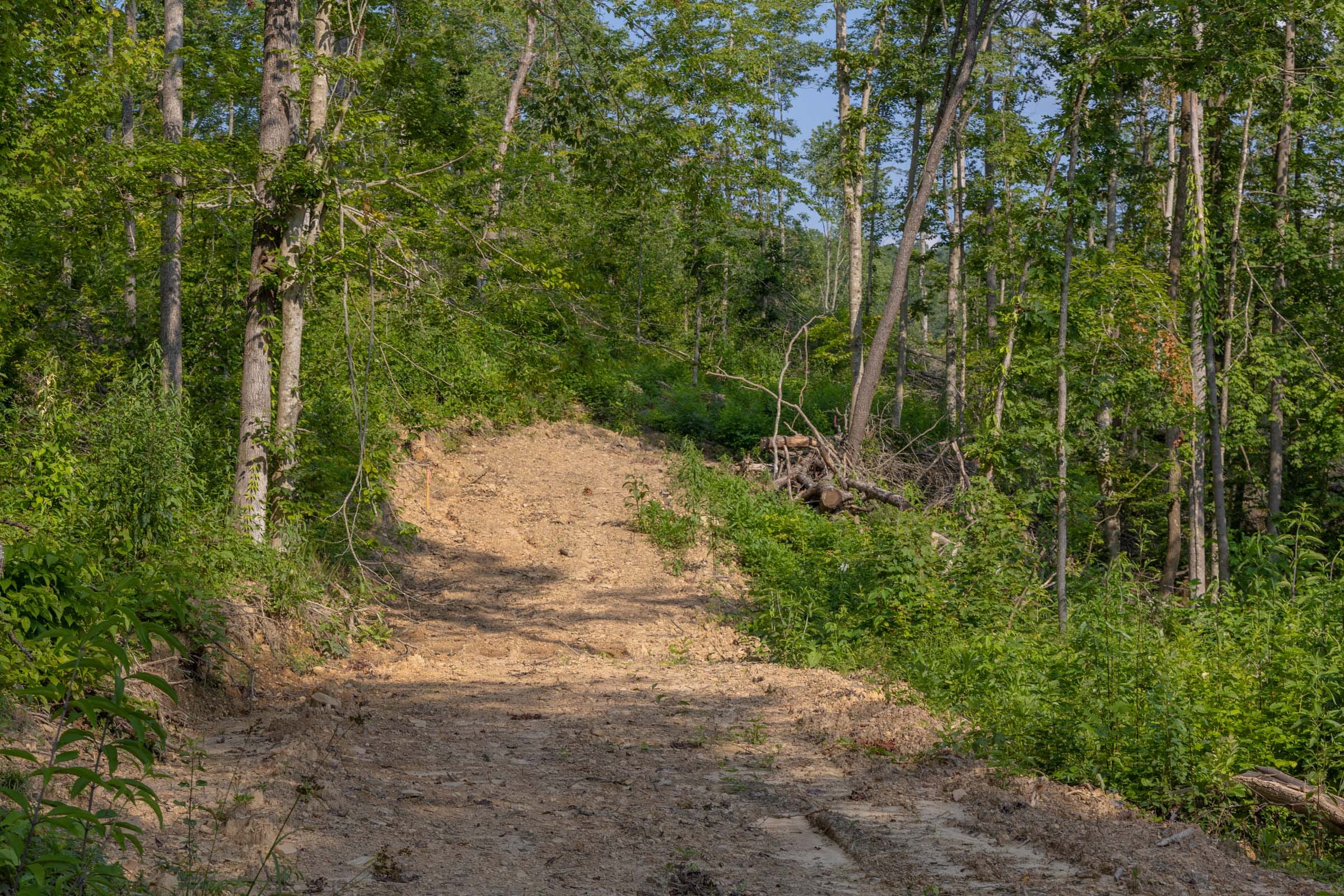 Creek Hollow Phase II Tract 81 photo 1