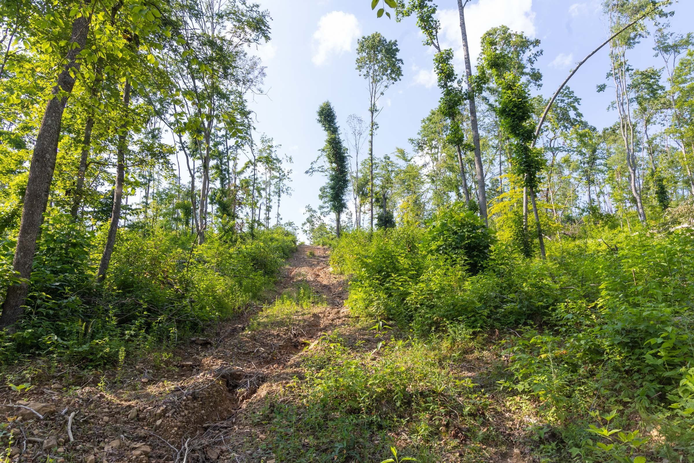 Creek Hollow Phase II Tract 81 photo 4