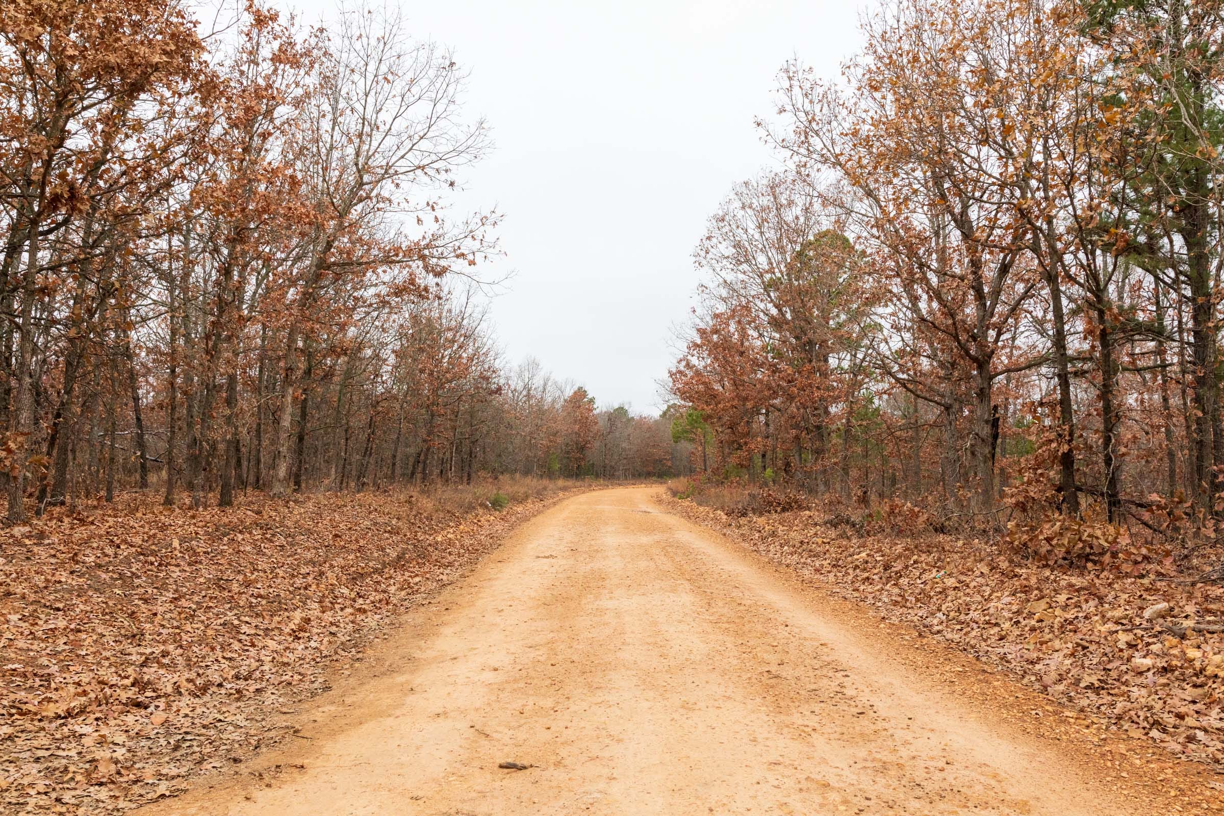 Carter’s Crossing Tract 2 photo 4