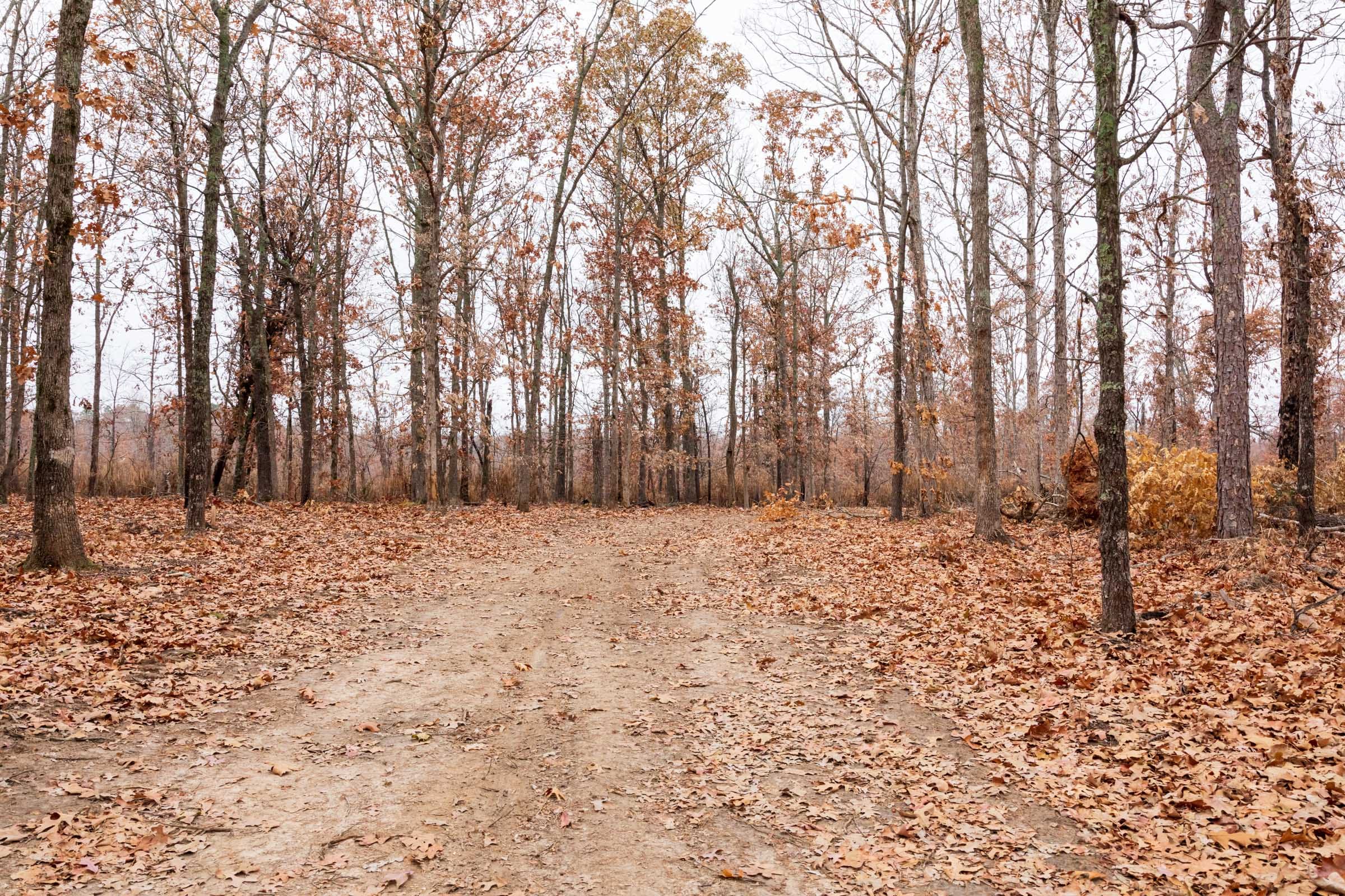 Carter’s Crossing Tract 2 photo 8