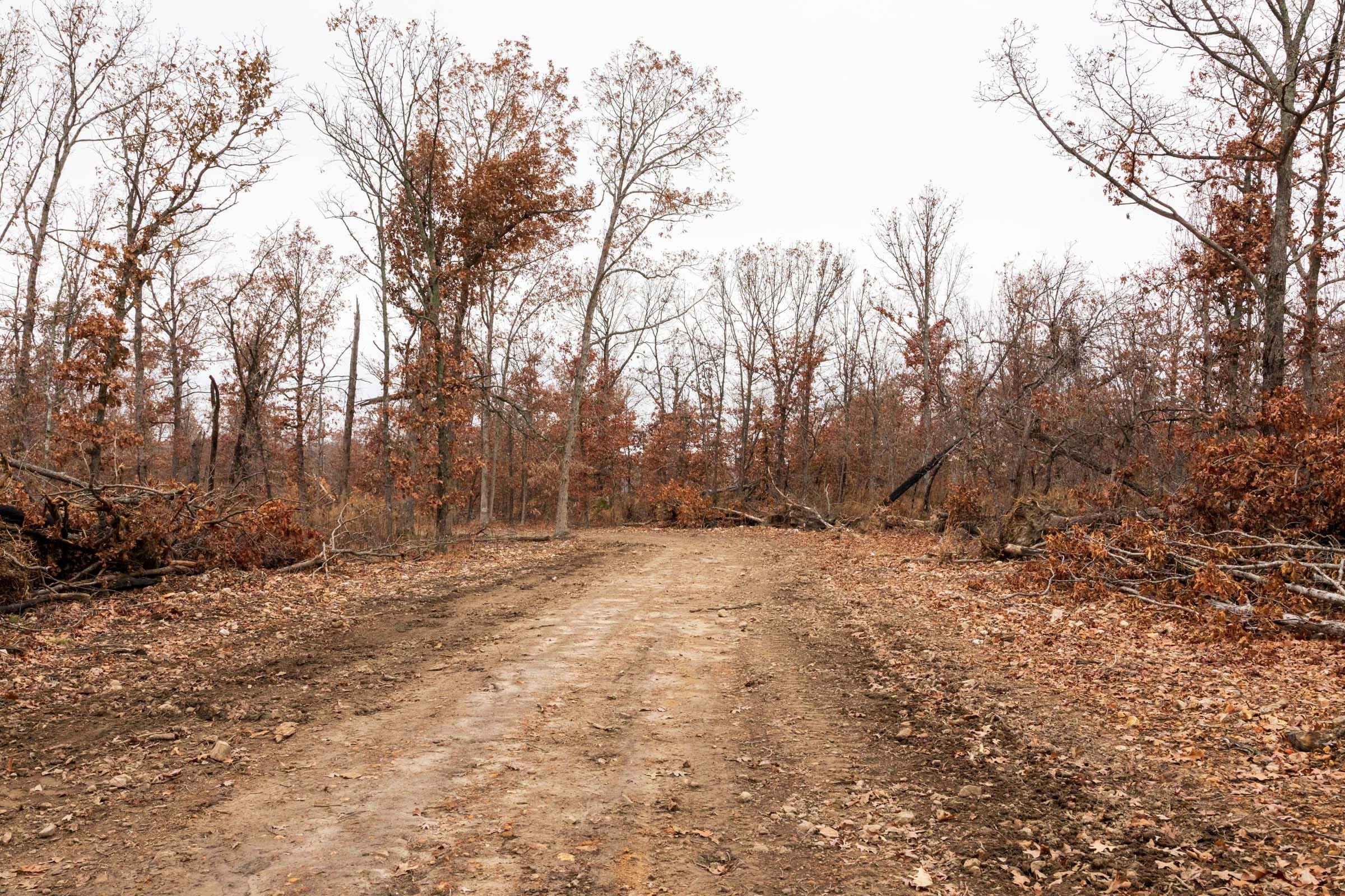 Carter’s Crossing Tract 2 photo 12