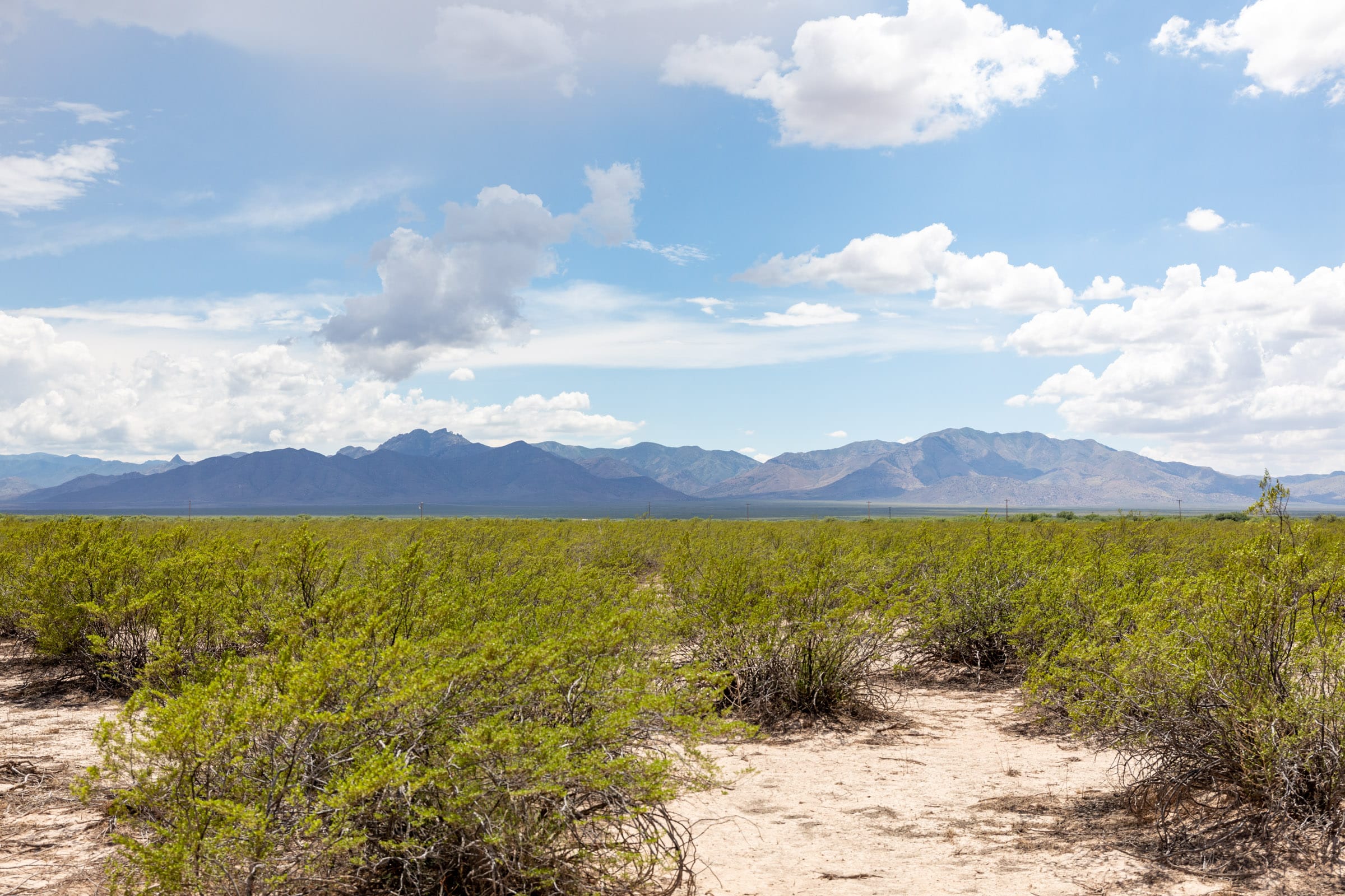 Horizon’s Edge Tract 3 photo 3