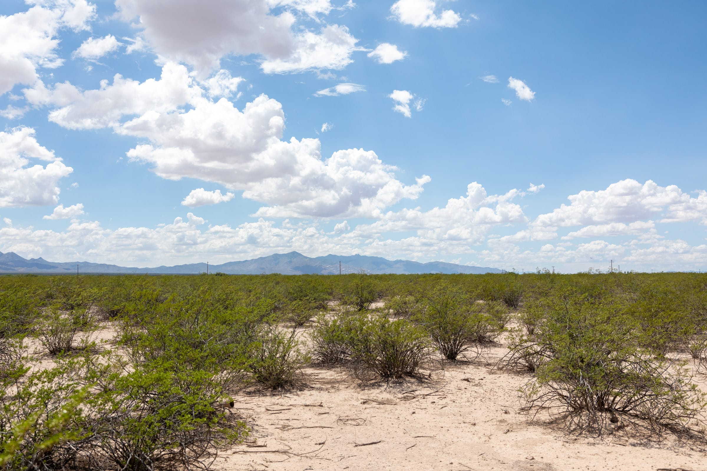 Horizon’s Edge Tract 3 photo 4