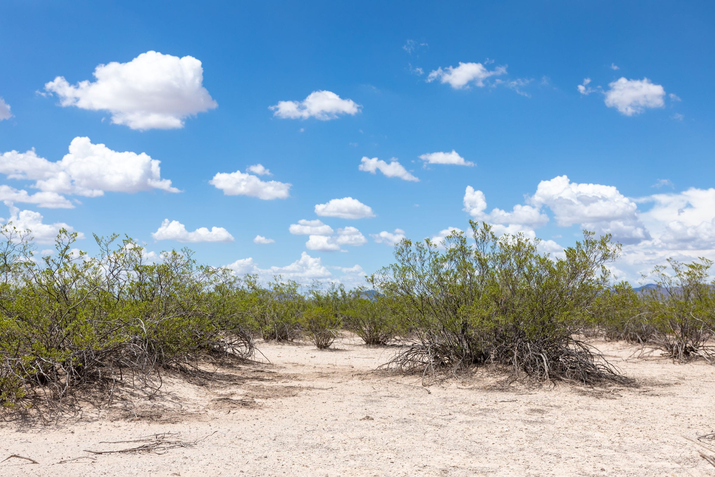Horizon’s Edge Tract 3 photo 7