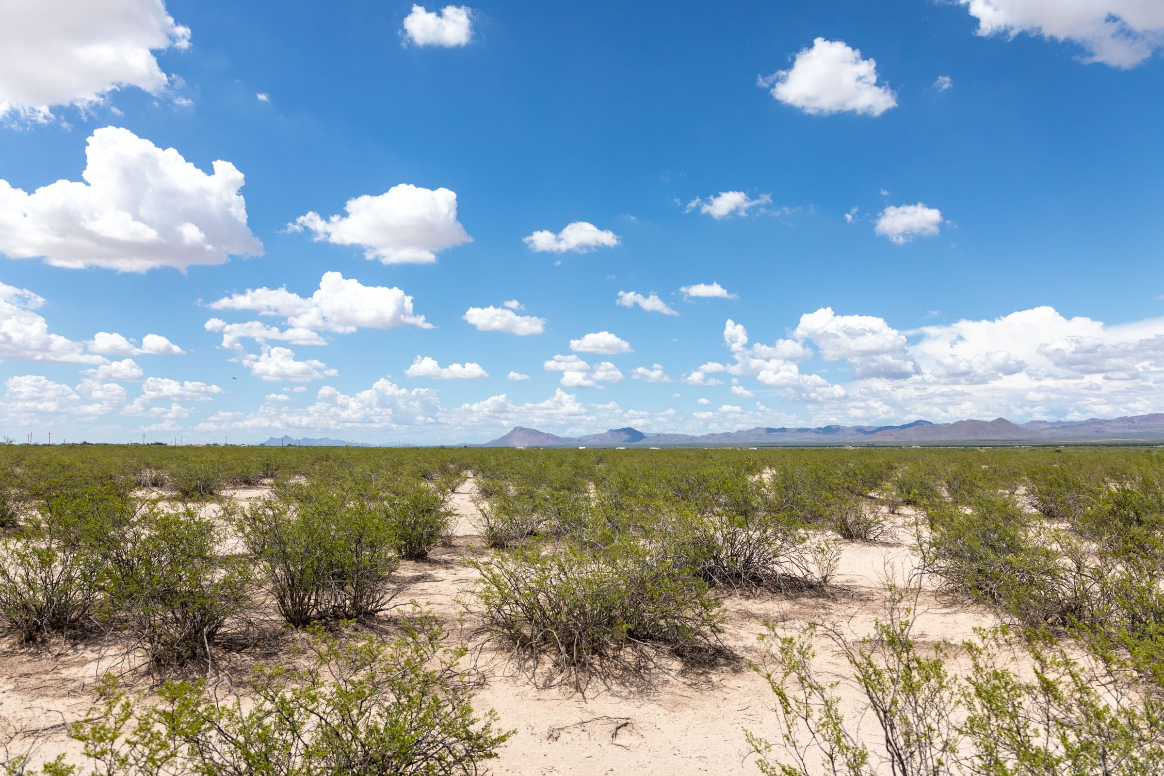 Horizon’s Edge Tract 3 photo 8