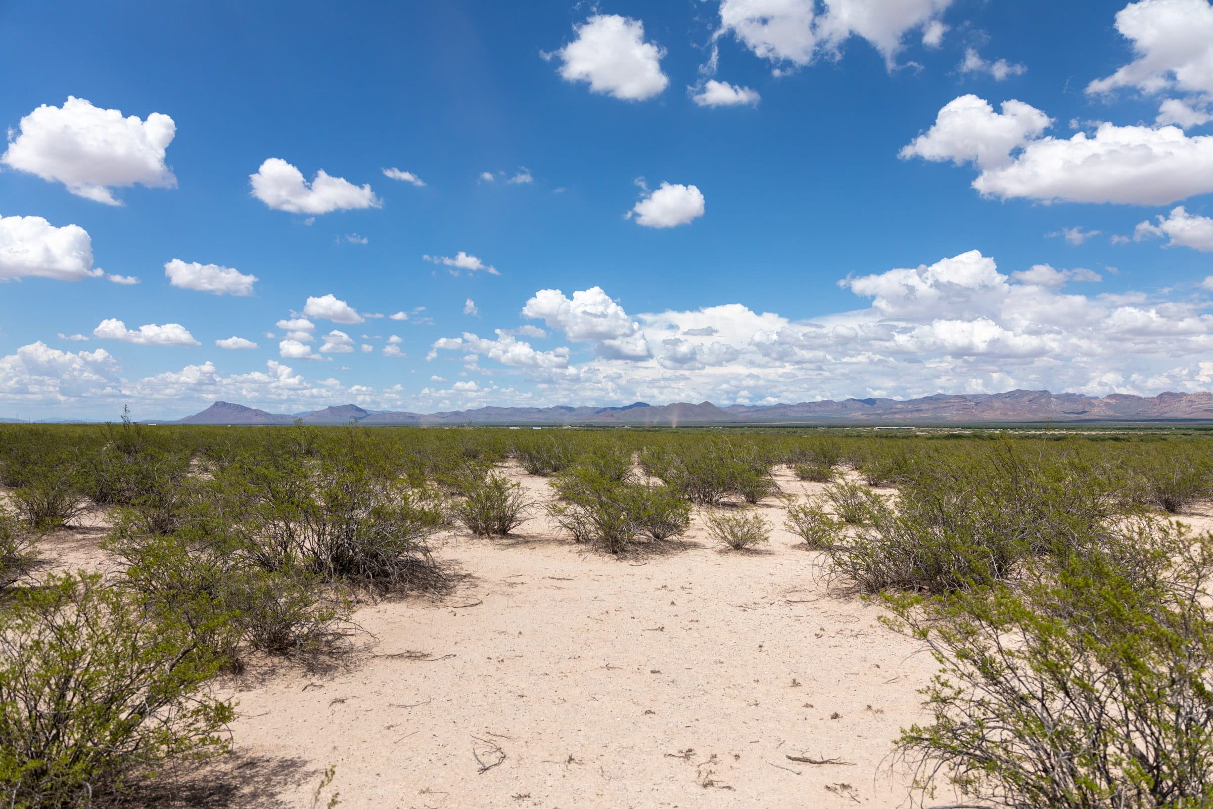 Horizon’s Edge Tract 3 photo 9