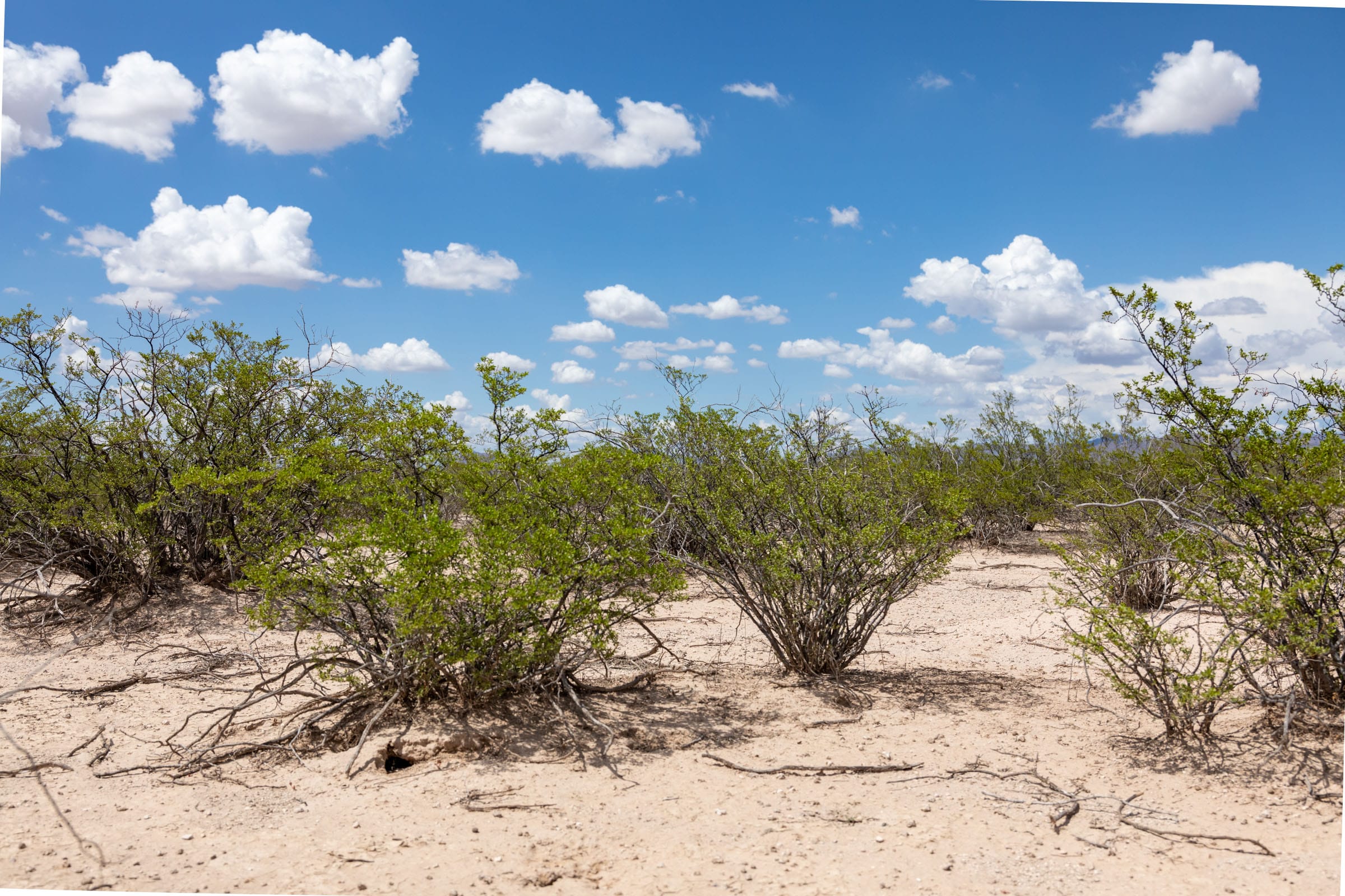 Horizon’s Edge Tract 3 photo 11