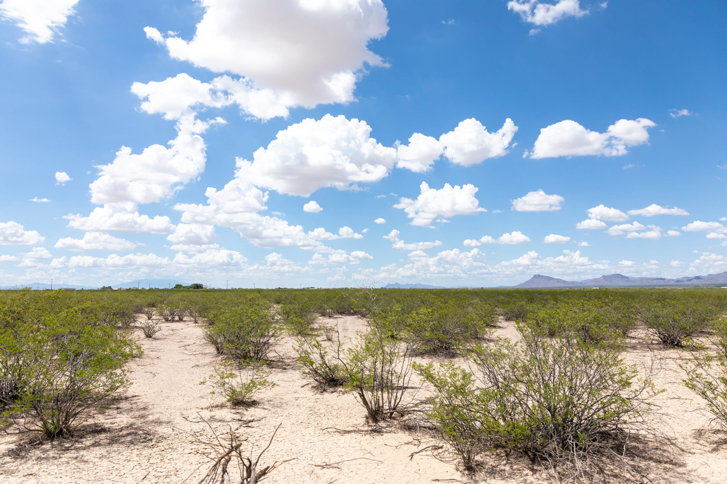 Horizon’s Edge Tract 3 photo 12