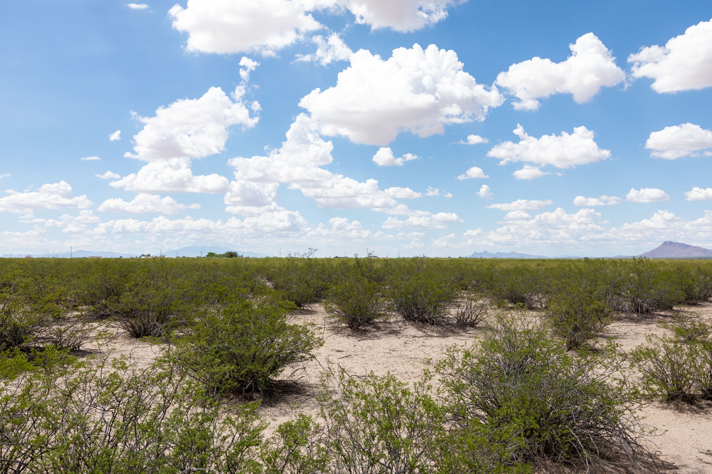 Horizon’s Edge Tract 3 photo 13