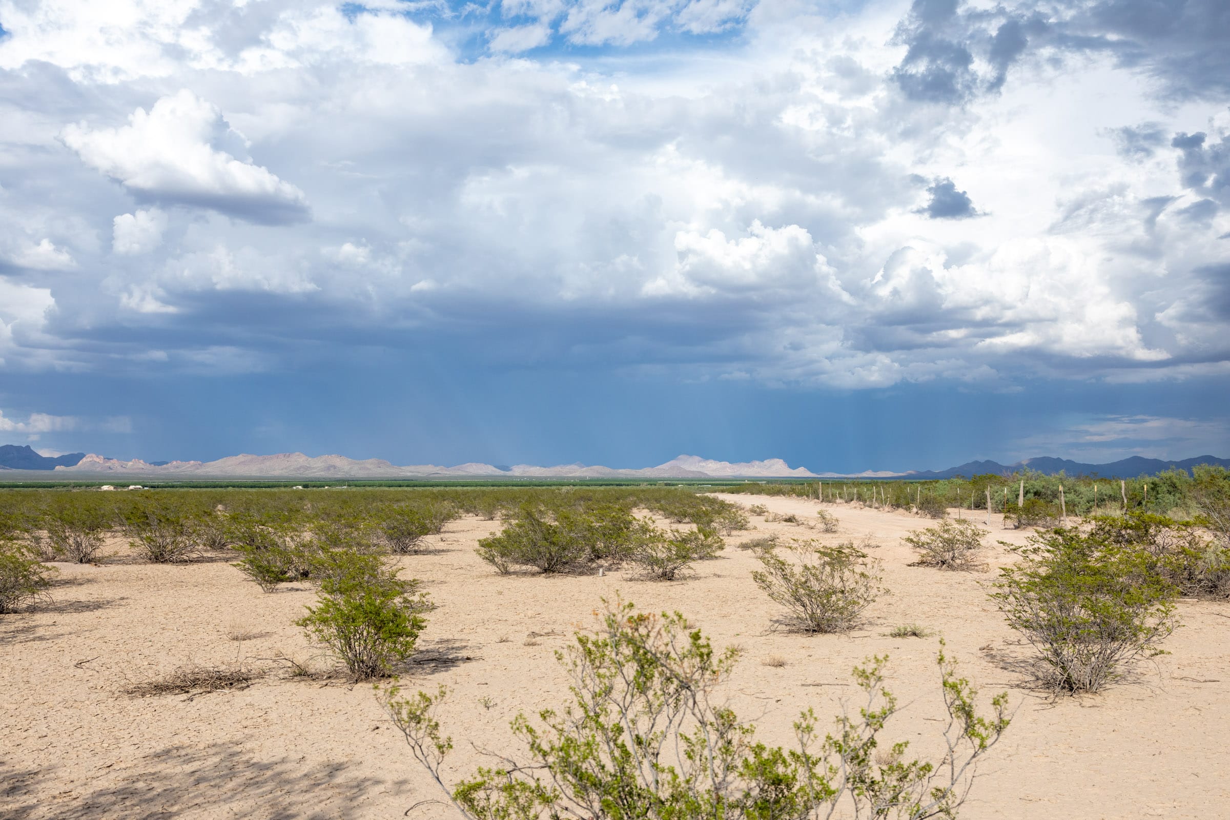 Horizon’s Edge Tract 3 photo 16